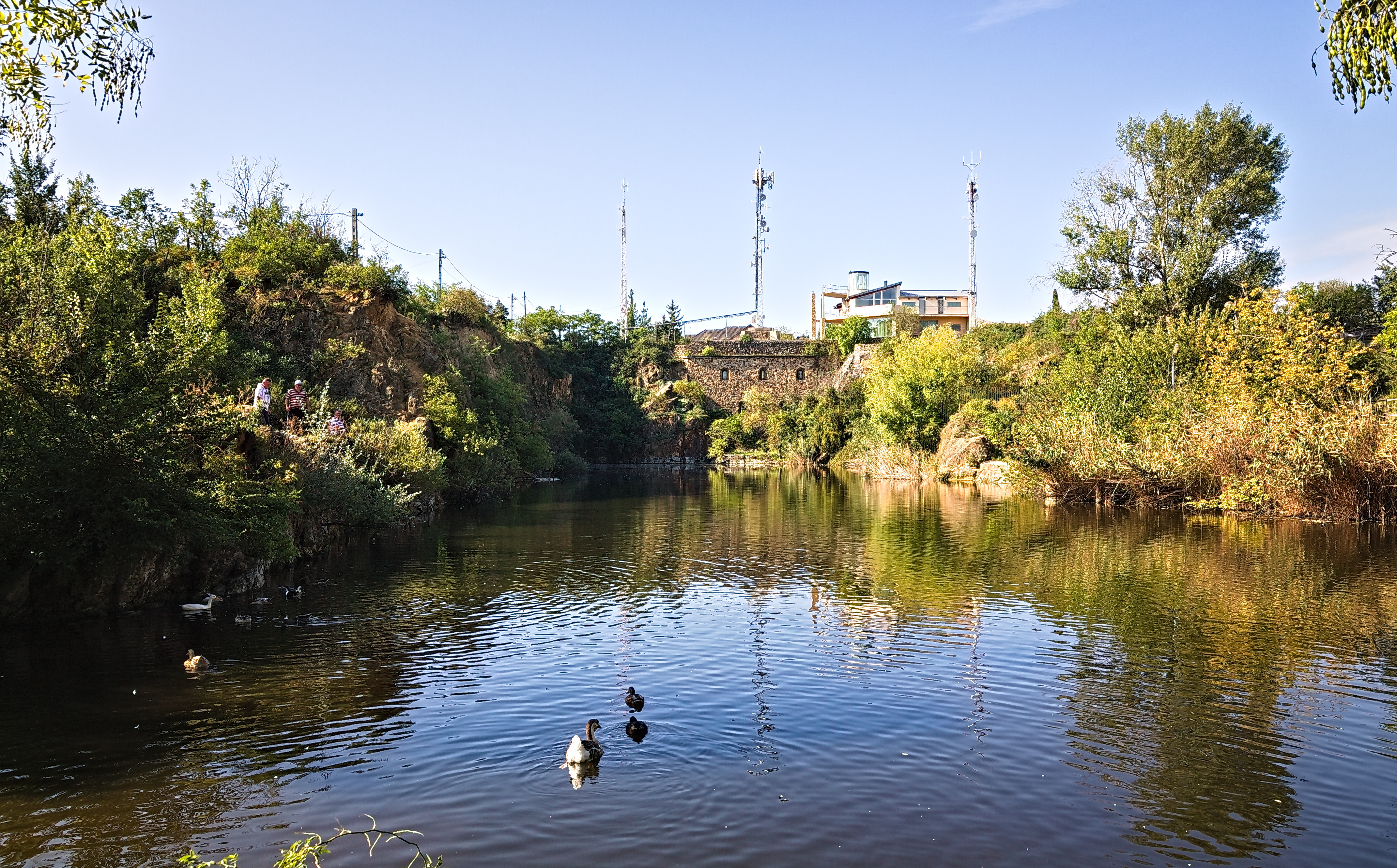 Turns Out That There Is A Hidden Lake Inside The City, With Exotic Duck Species