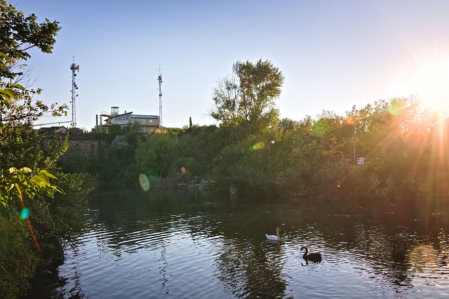 Turns Out That There Is A Hidden Lake Inside The City, With Exotic Duck Species Turns Out That There Is A Hidden Lake Inside The City, With Exotic Duck Species