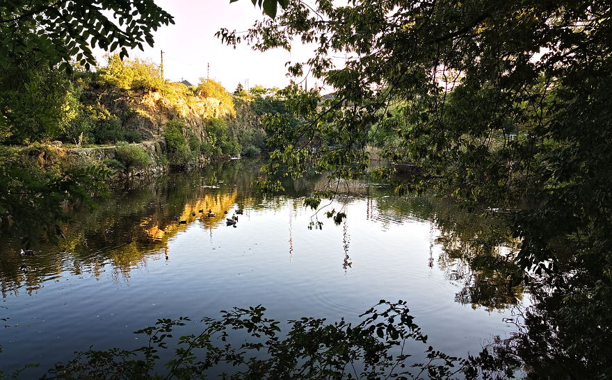 Turns Out That There Is A Hidden Lake Inside The City, With Exotic Duck Species Turns Out That There Is A Hidden Lake Inside The City, With Exotic Duck Species