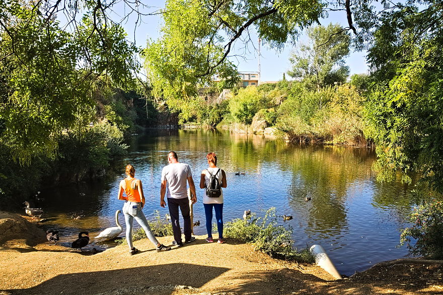 Turns Out That There Is A Hidden Lake Inside The City, With Exotic Duck Species Turns Out That There Is A Hidden Lake Inside The City, With Exotic Duck Species