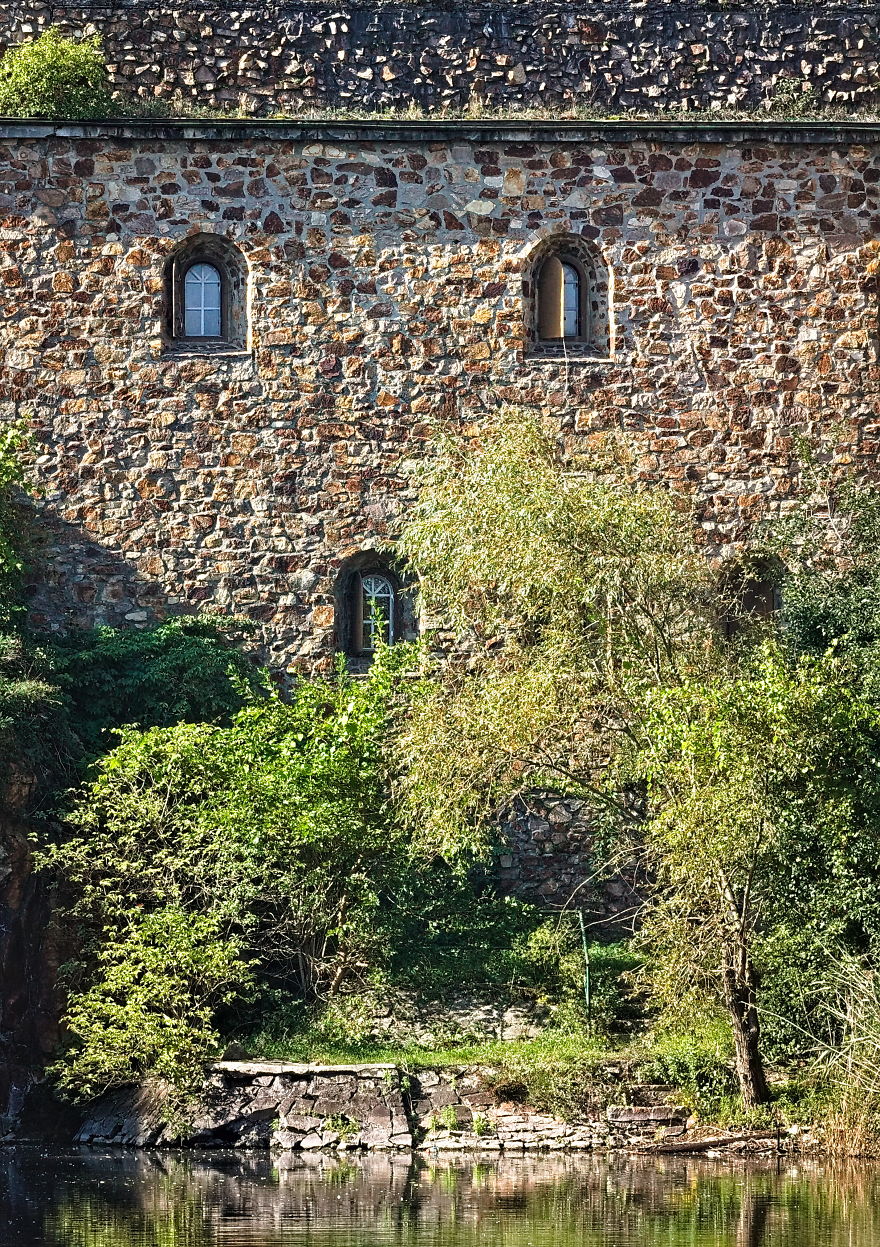 Turns Out That There Is A Hidden Lake Inside The City, With Exotic Duck Species Turns Out That There Is A Hidden Lake Inside The City, With Exotic Duck Species