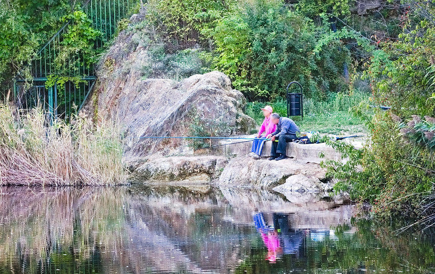 Turns Out That There Is A Hidden Lake Inside The City, With Exotic Duck Species Turns Out That There Is A Hidden Lake Inside The City, With Exotic Duck Species