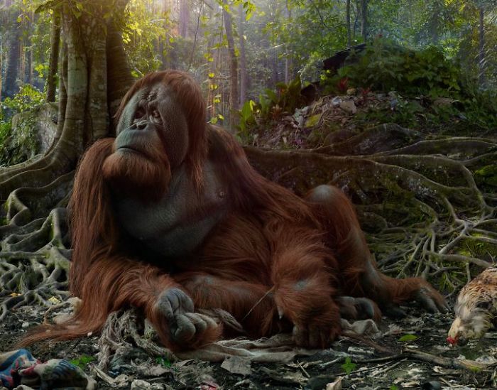 The Allegorical And Unusual Nature Of Simen Johan