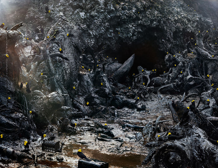The Allegorical And Unusual Nature Of Simen Johan