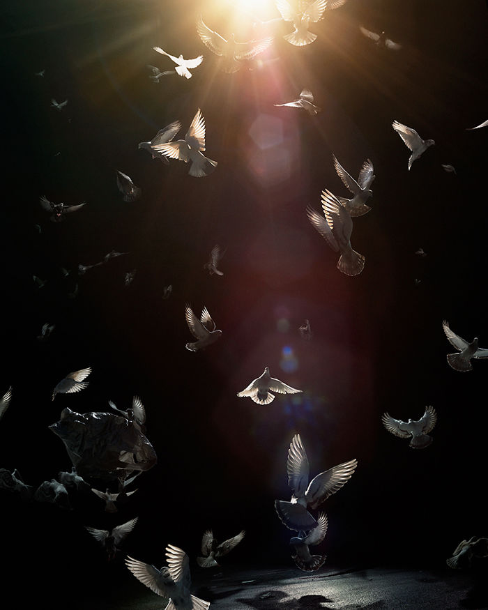 The Allegorical And Unusual Nature Of Simen Johan