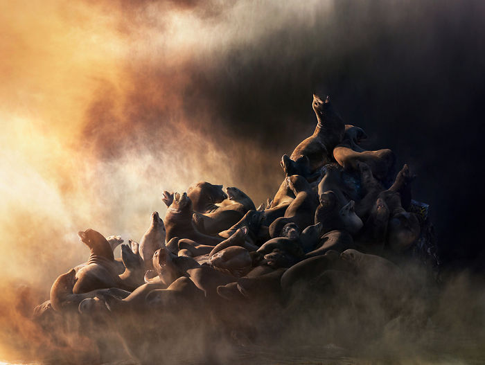 The Allegorical And Unusual Nature Of Simen Johan