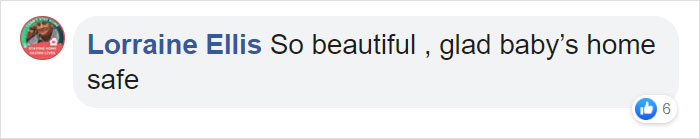 This 40-Pound African Cat Is Reunited With His Owners After Running Away And Spending 3 Days In The Wild This 40-Pound African Cat Is Reunited With His Owners After Running Away And Spending 3 Days In The Wild