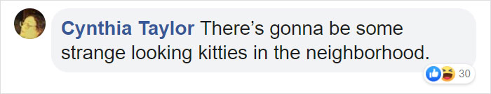 This 40-Pound African Cat Is Reunited With His Owners After Running Away And Spending 3 Days In The Wild This 40-Pound African Cat Is Reunited With His Owners After Running Away And Spending 3 Days In The Wild