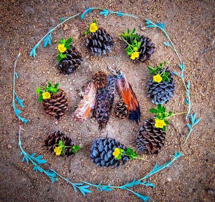 Animals-Memorial-Amanda-Stronza