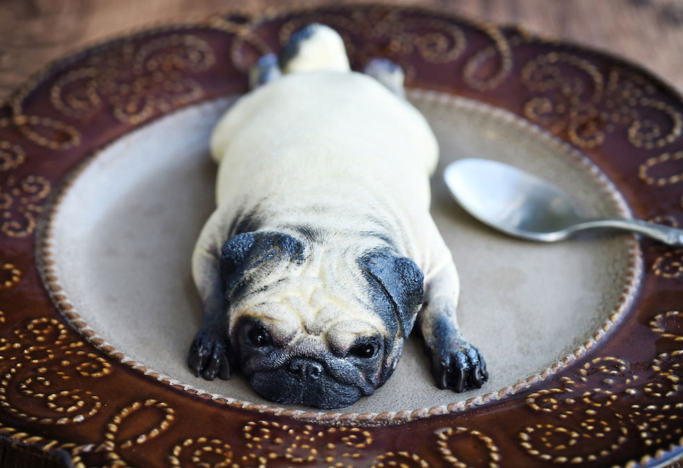 For Mid-Autumn Festival, We Made These Puppy Cakes For Our Daughter Instead Of Traditional Ones