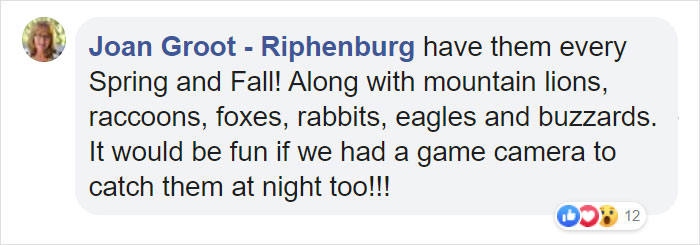 Family Discovers 2 Bear Cubs Fighting On Their Doorstep After Waking Up In Terror Fearing Intruders Are Trying To Get Into Their House Family Discovers 2 Bear Cubs Fighting On Their Doorstep After Waking Up In Terror Fearing Intruders Are Trying To Get Into Their House