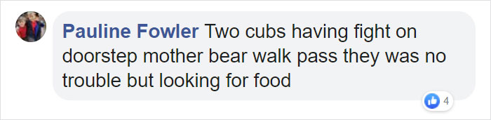 Family Discovers 2 Bear Cubs Fighting On Their Doorstep After Waking Up In Terror Fearing Intruders Are Trying To Get Into Their House Family Discovers 2 Bear Cubs Fighting On Their Doorstep After Waking Up In Terror Fearing Intruders Are Trying To Get Into Their House