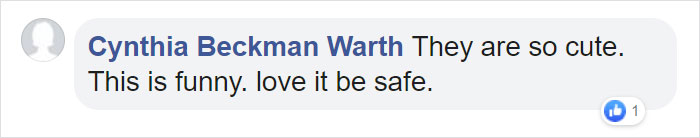 Family Discovers 2 Bear Cubs Fighting On Their Doorstep After Waking Up In Terror Fearing Intruders Are Trying To Get Into Their House Family Discovers 2 Bear Cubs Fighting On Their Doorstep After Waking Up In Terror Fearing Intruders Are Trying To Get Into Their House