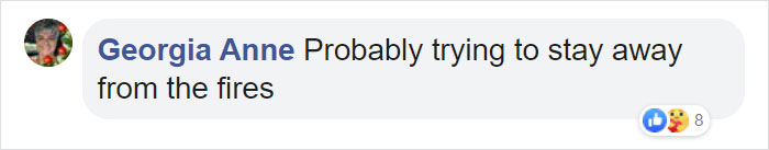 Family Discovers 2 Bear Cubs Fighting On Their Doorstep After Waking Up In Terror Fearing Intruders Are Trying To Get Into Their House Family Discovers 2 Bear Cubs Fighting On Their Doorstep After Waking Up In Terror Fearing Intruders Are Trying To Get Into Their House
