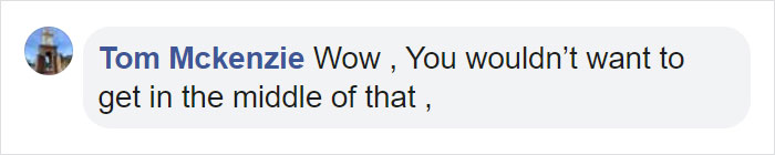 Family Discovers 2 Bear Cubs Fighting On Their Doorstep After Waking Up In Terror Fearing Intruders Are Trying To Get Into Their House Family Discovers 2 Bear Cubs Fighting On Their Doorstep After Waking Up In Terror Fearing Intruders Are Trying To Get Into Their House
