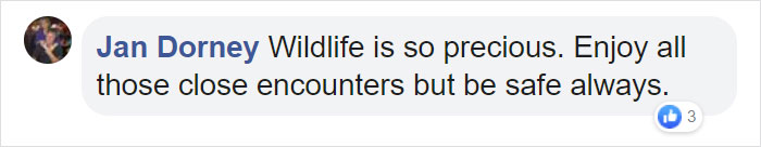 Family Discovers 2 Bear Cubs Fighting On Their Doorstep After Waking Up In Terror Fearing Intruders Are Trying To Get Into Their House Family Discovers 2 Bear Cubs Fighting On Their Doorstep After Waking Up In Terror Fearing Intruders Are Trying To Get Into Their House