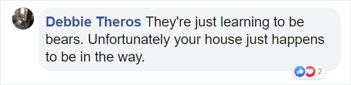 Family Discovers 2 Bear Cubs Fighting On Their Doorstep After Waking Up In Terror Fearing Intruders Are Trying To Get Into Their House