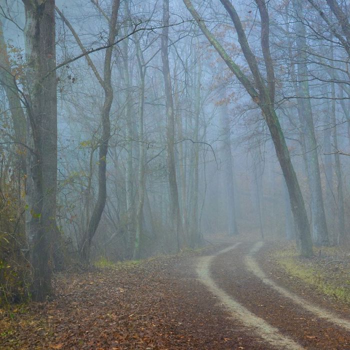 Photographer Shows How He Edits Ordinary Pics To Make Them Look Magical With 12 Before And After Examples