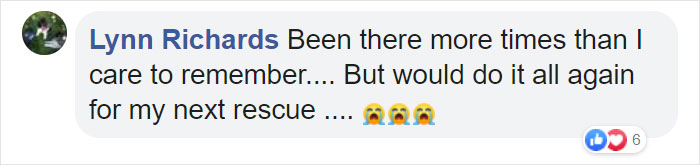 "Before You Get A Puppy, Imagine Yourself 10+ Years From Now": Woman's Brutally Honest Post About Getting A Dog Goes Viral