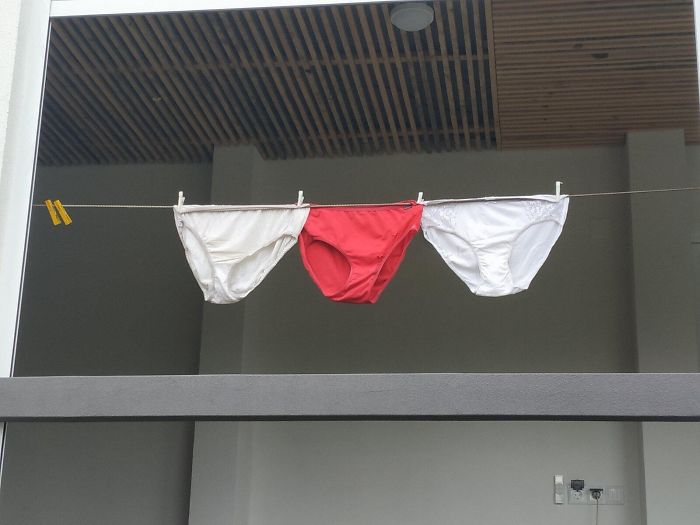 Belarus-Flag-Pro-Democratic-Prohibition