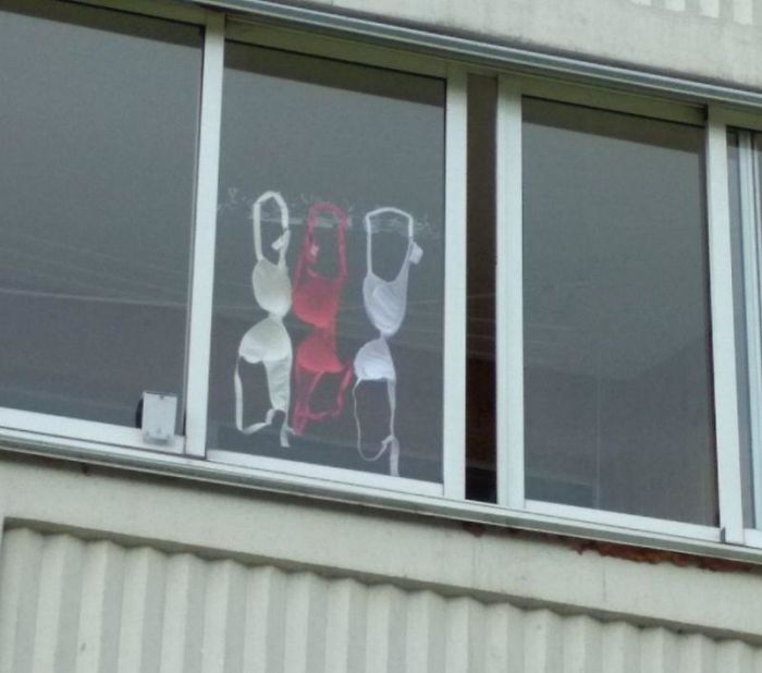 Belarus-Flag-Pro-Democratic-Prohibition