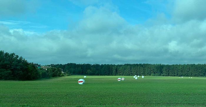 Belarus-Flag-Pro-Democratic-Prohibition