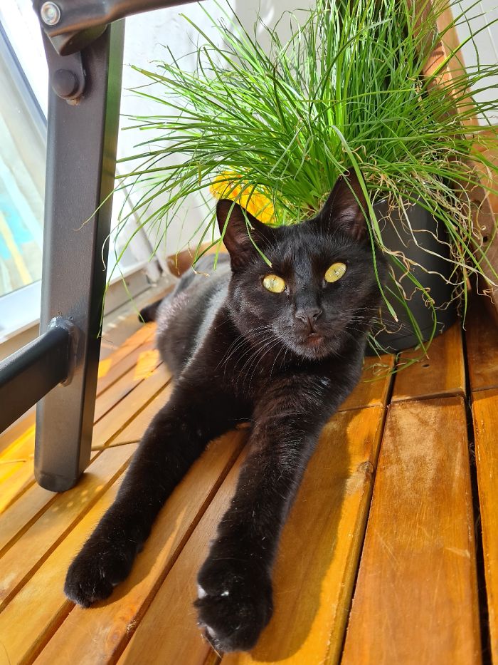 This Is Anny Relaxing On The Balcony