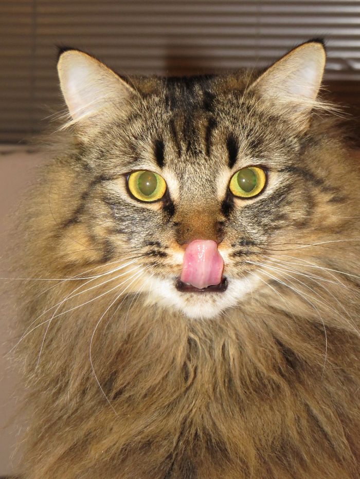 That Bird Was Delicious!