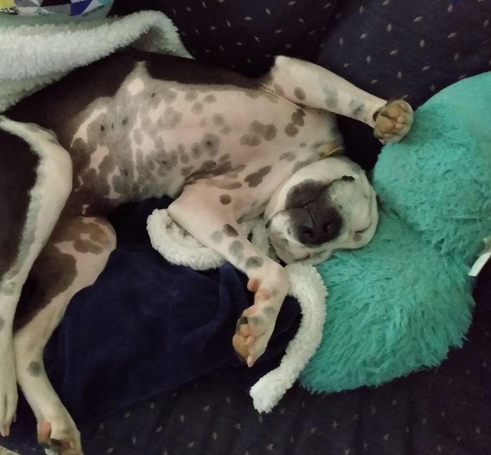 My Lil Princess Kaia 🥰 Happy Dreams 🙂