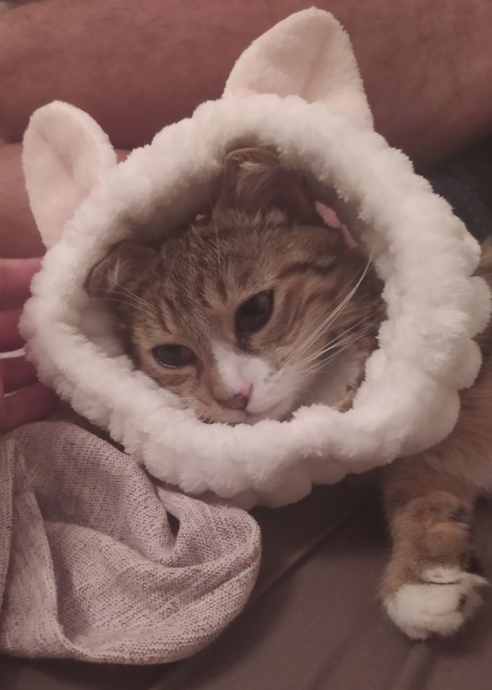 Meet Frideta. Our Little Miss Sunshine