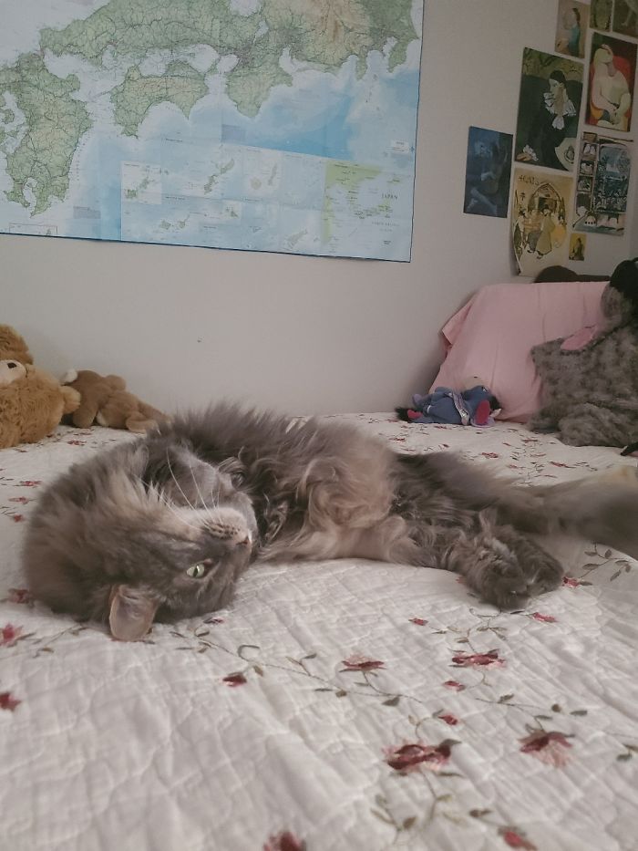 My Old Boy Isaiah :'))