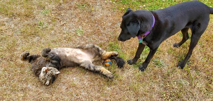 Caspian, Channelling A Time When He Still Had His Balls....