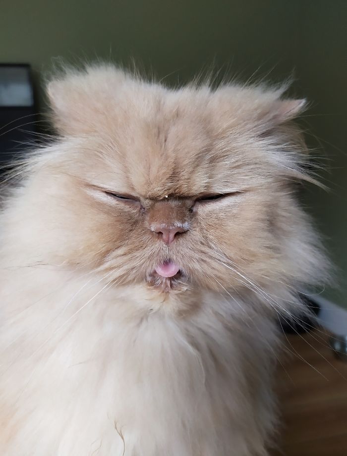 He's An Idiot. I Love Him