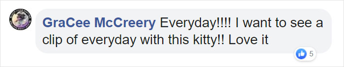 Mail Carrier Hilariously Documents How This Cat 'Protects' Its Domain Every Day