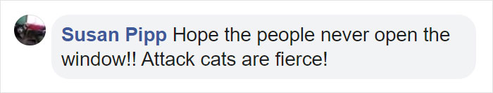 Mail Carrier Hilariously Documents How This Cat 'Protects' Its Domain Every Day Mail Carrier Hilariously Documents How This Cat 'Protects' Its Domain Every Day