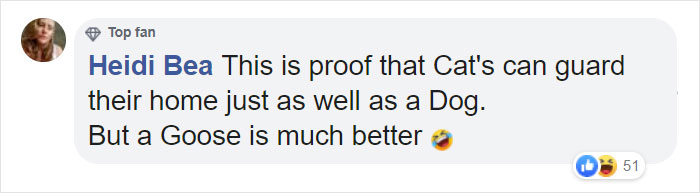 Mail Carrier Hilariously Documents How This Cat 'Protects' Its Domain Every Day