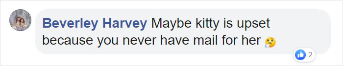 Mail Carrier Hilariously Documents How This Cat 'Protects' Its Domain Every Day