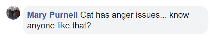 Mail Carrier Hilariously Documents How This Cat 'Protects' Its Domain Every Day