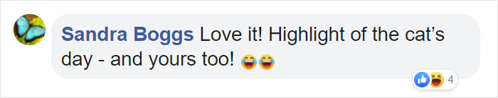 Mail Carrier Hilariously Documents How This Cat 'Protects' Its Domain Every Day Mail Carrier Hilariously Documents How This Cat 'Protects' Its Domain Every Day