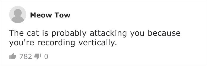 Mail Carrier Hilariously Documents How This Cat 'Protects' Its Domain Every Day