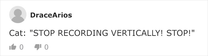 Mail Carrier Hilariously Documents How This Cat 'Protects' Its Domain Every Day