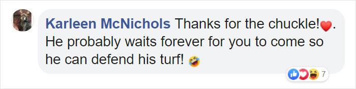 Mail Carrier Hilariously Documents How This Cat 'Protects' Its Domain Every Day Mail Carrier Hilariously Documents How This Cat 'Protects' Its Domain Every Day