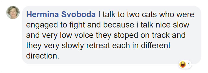 Mail Carrier Hilariously Documents How This Cat 'Protects' Its Domain Every Day Mail Carrier Hilariously Documents How This Cat 'Protects' Its Domain Every Day