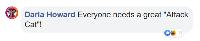 Mail Carrier Hilariously Documents How This Cat 'Protects' Its Domain Every Day