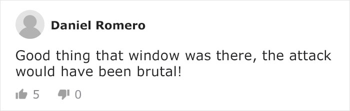 Mail Carrier Hilariously Documents How This Cat 'Protects' Its Domain Every Day Mail Carrier Hilariously Documents How This Cat 'Protects' Its Domain Every Day