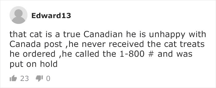 Mail Carrier Hilariously Documents How This Cat 'Protects' Its Domain Every Day