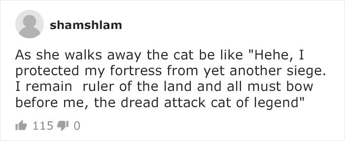 Mail Carrier Hilariously Documents How This Cat 'Protects' Its Domain Every Day Mail Carrier Hilariously Documents How This Cat 'Protects' Its Domain Every Day