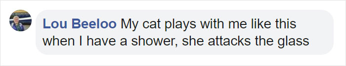 Mail Carrier Hilariously Documents How This Cat 'Protects' Its Domain Every Day Mail Carrier Hilariously Documents How This Cat 'Protects' Its Domain Every Day