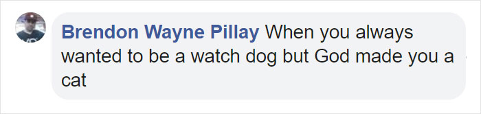 Mail Carrier Hilariously Documents How This Cat 'Protects' Its Domain Every Day