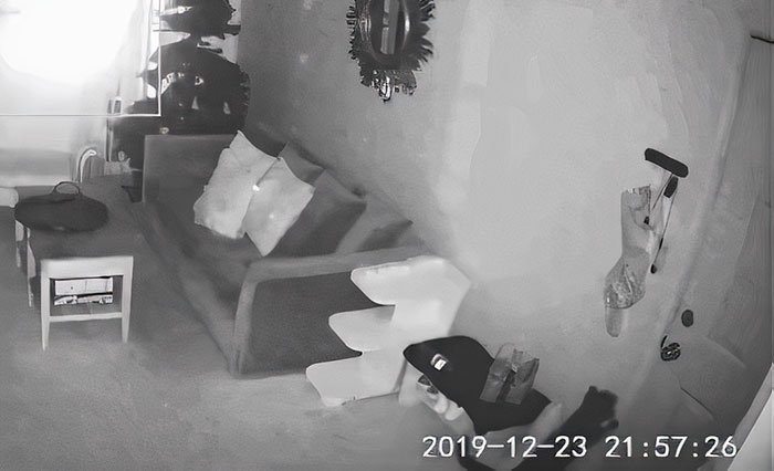 Owner Sets Up A Cam To Check On Her Cat, Finds “Heartbreaking Evidence” Of How Her Cat Missed Her